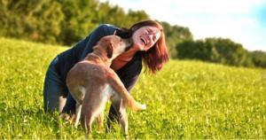 nutrición ortomolecular veterinaria