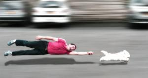 Los problemas de conducta y el estrés en el perro