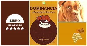 Dominancia Realidad o Ficcion Libro
