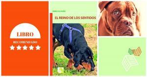 el reino de los sentidos libro