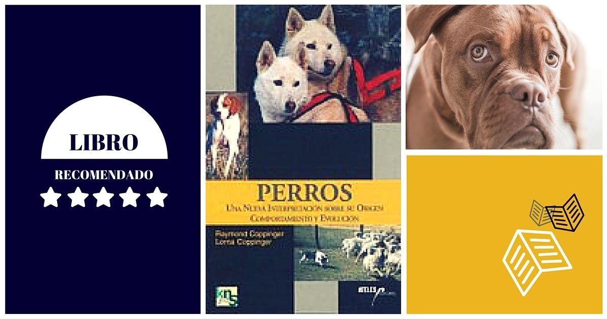 Perros Una Nueva Interpretacion sobre su Origen Comportamiento y Evolucion