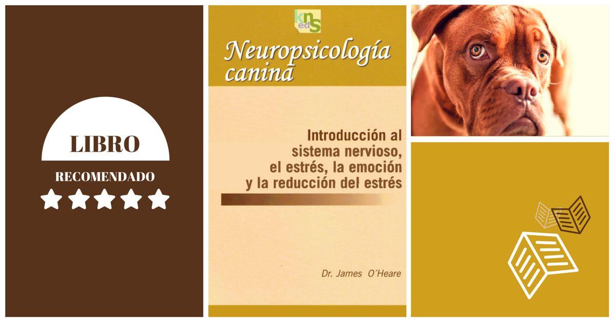 Neuropsicologia canina