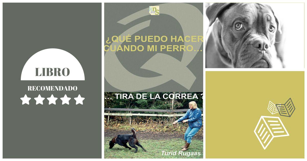 Que puedo hacer cuando mi Perro tira de la correa