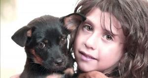educar a un cachorro