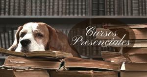 Cursos Presenciales