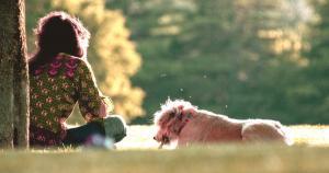 me gustaría tener un perro