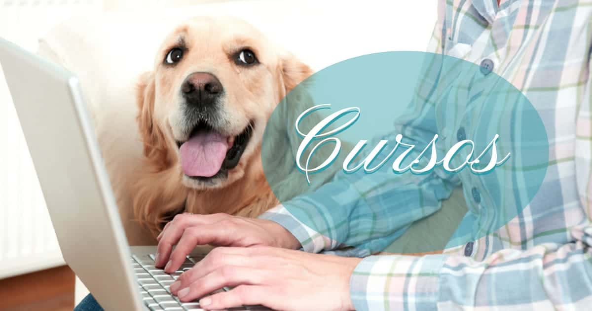 cursos online