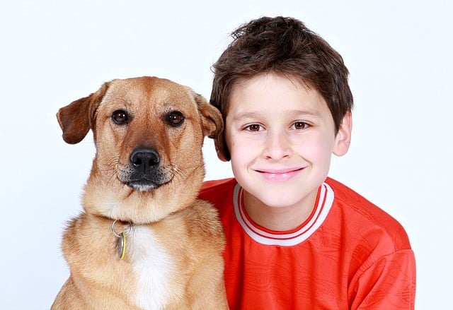 niño perro en terapia