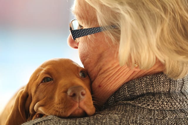 perro terapia señora