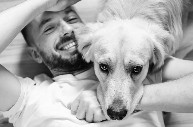 terapia asistida perros