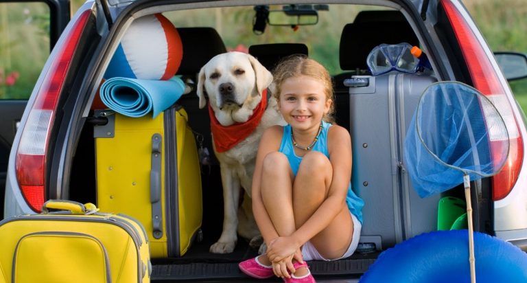 6 consejos viajar perro