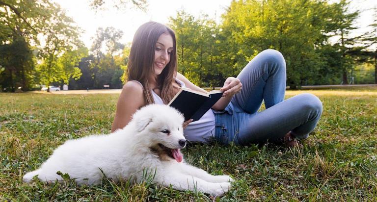 Manuales y Libros Gratis sobre Perros y Gatos