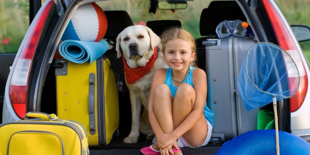 6 consejos viajar perro