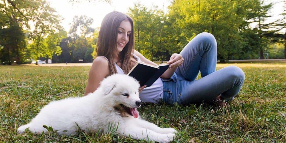 Manuales y Libros Gratis sobre Perros y Gatos